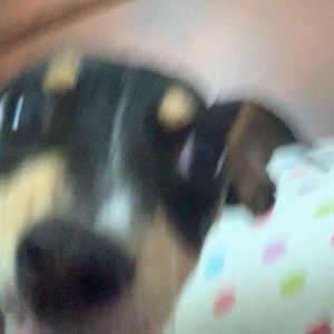 Meet your Posher, Katy